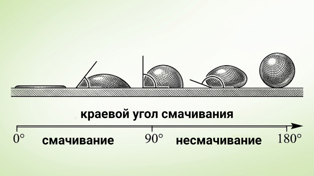 scale_2400 (46).png